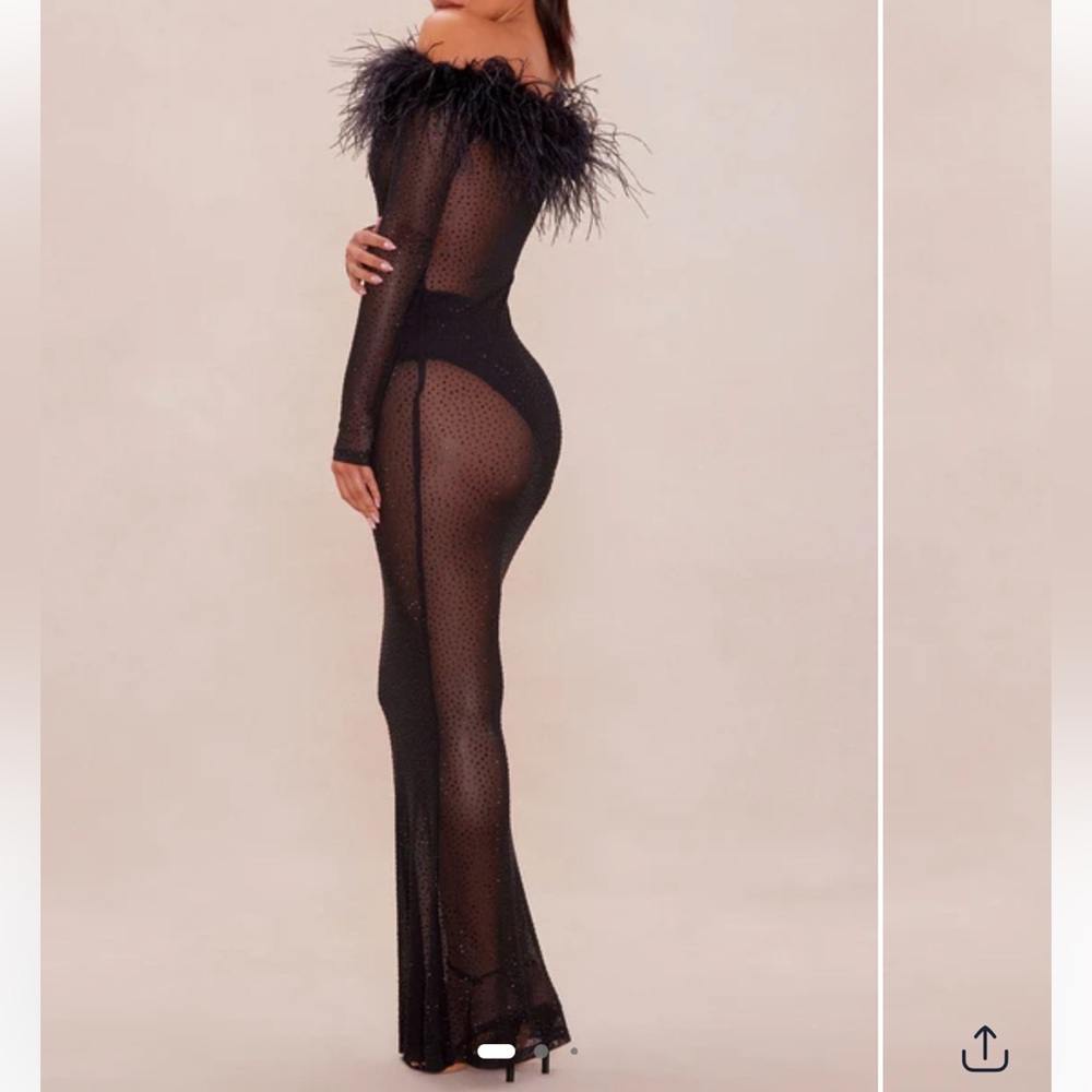 Sheer Black Maxi Dress w/ Feathers